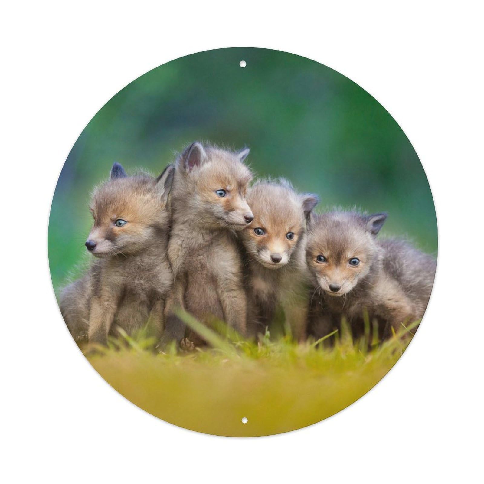 Animal Cute Fox CubsAnimal Cute Fox Cubs Metal Tin Sign