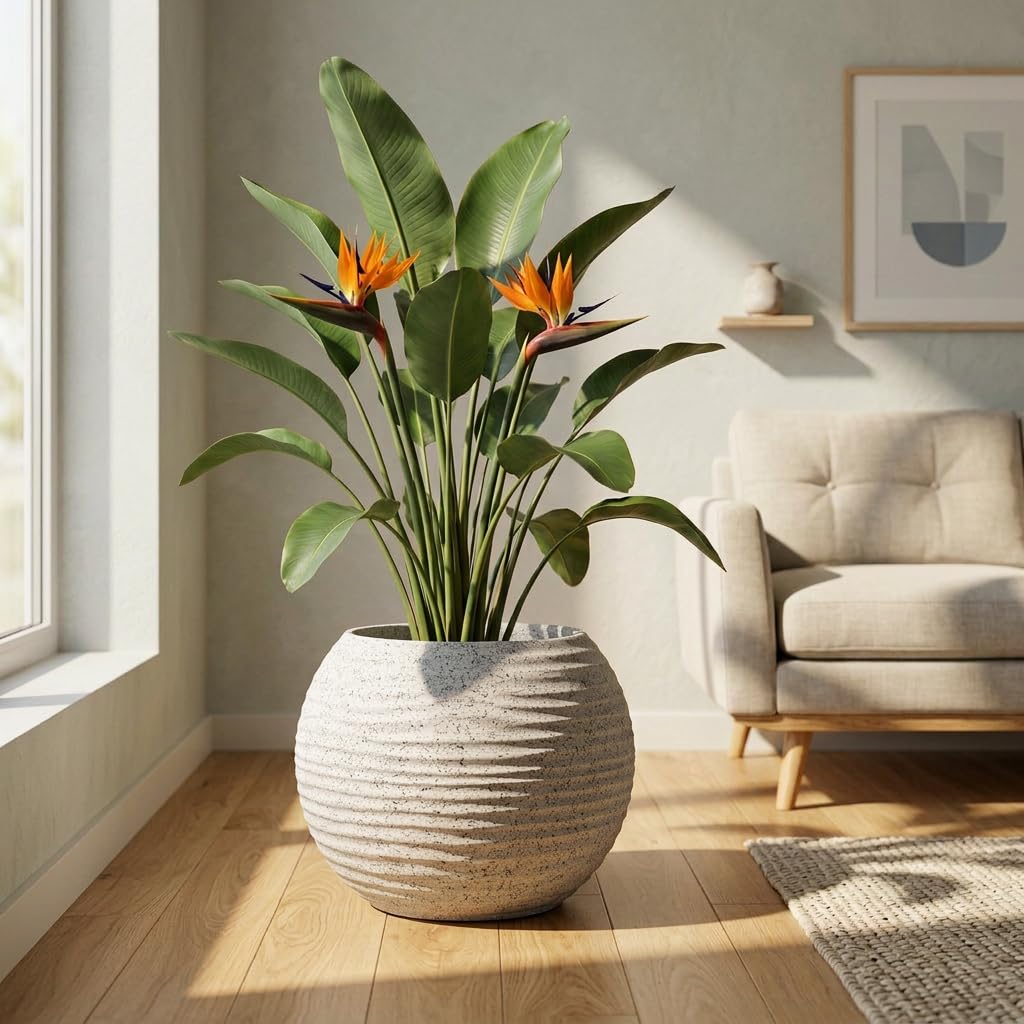 YUCCABE ITALIA Wave Round Planter with Plate Lightweight Durable Indoor Outdoor Plant Pots, Plant Container for Living Room, Balcony, Garden (Marble White, 13 Inch)-picture-23