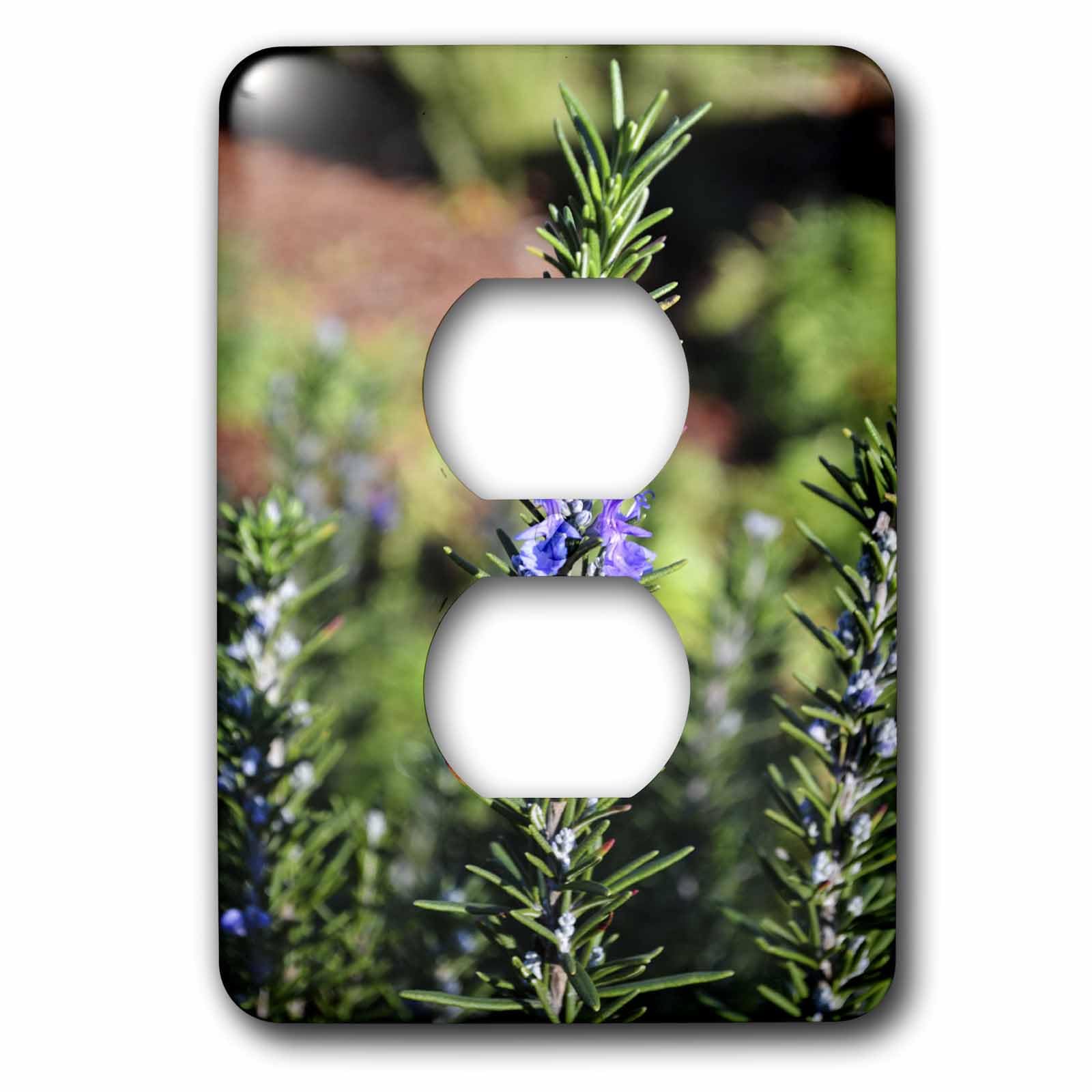 Romarin Spike plaque pour double prise 15,2 cm 3dRose pour cacher les défauts