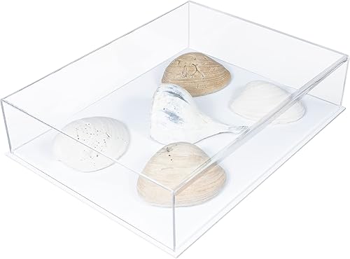 Vista 193 de Better Display Cases Versátil vitrina de acrílico transparente - Caja rectangular grande con base blanca 18" x 12" x 3" (BK09)