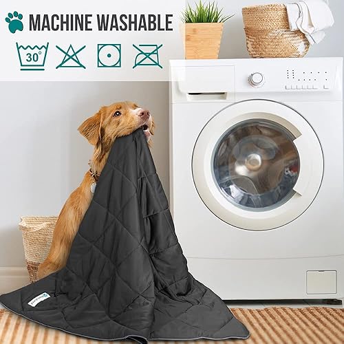Miniatura 5 de PetAmi - Manta refrescante para mascotas, ligera, esponjosa, decorativa, reversible, mullida, acogedora, cubrecama, manta protectora para muebles y