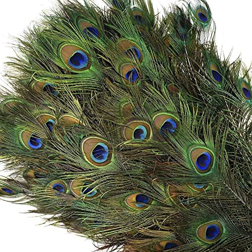 Red Crush Mor Pankh Real Peacock Feather Original Tails Décor Big and Small Size for Home use Lizards Pujan, Multicolor, Pack of 50-image-45
