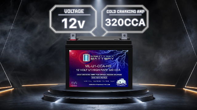 Amazon.com: Mighty Max Battery ML-U1-CCAHR 12V 320CCA Battery for