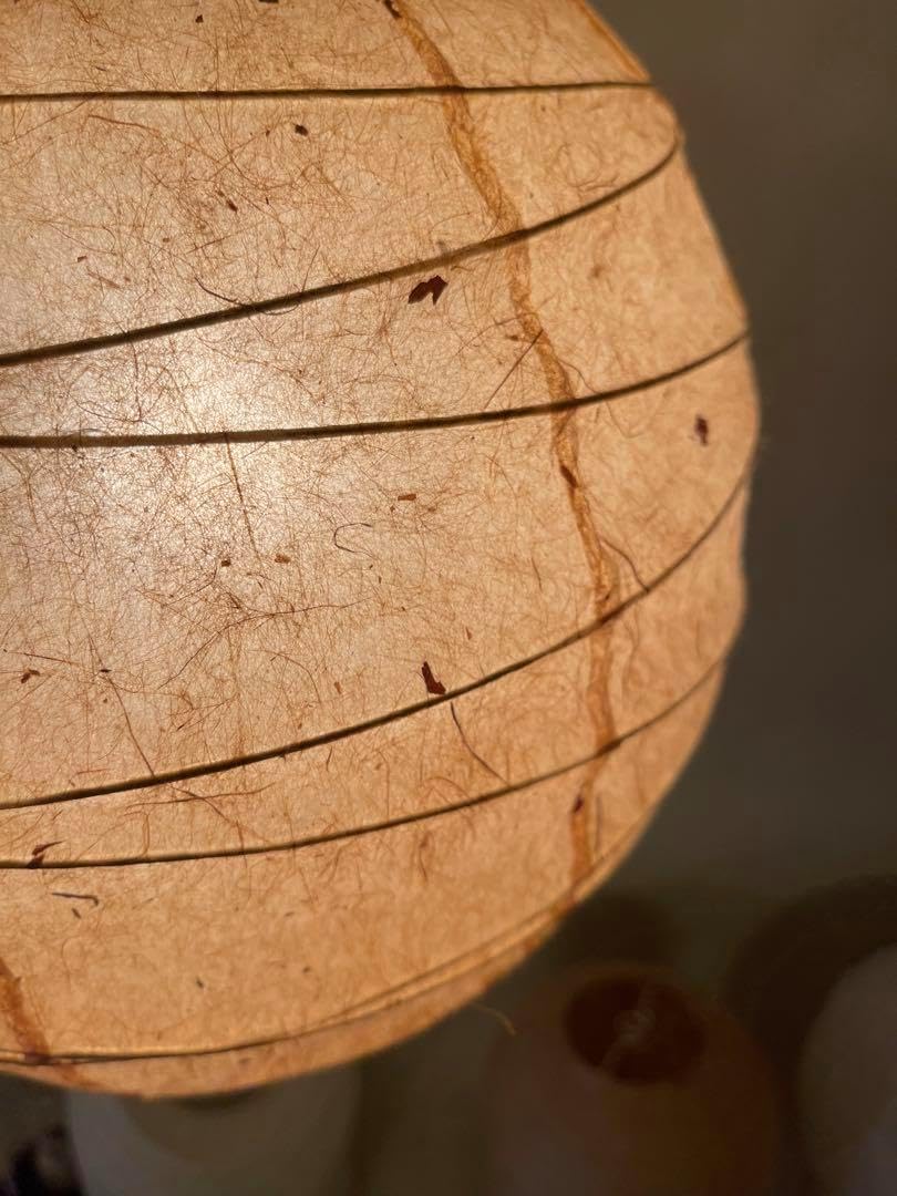 径45㎝丸杉皮入和紙灯具付提灯照明ペンダント