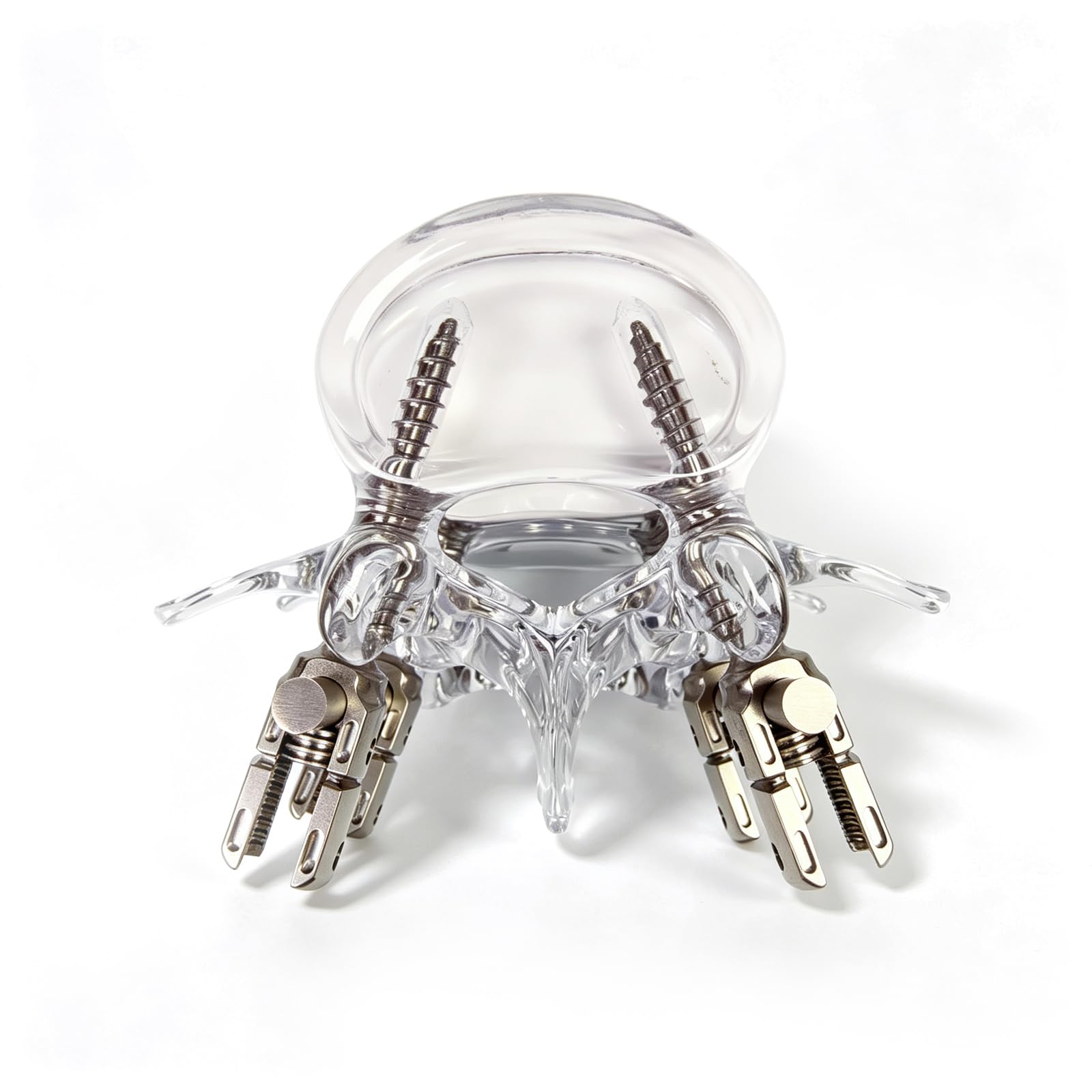 Modelo Anatómico Transparente De La Columna Lumbar para Uso Médico, Modelo De Demostración De Fijación Interna para Fusión Lumbar para La Enseñanza De Ortopedia