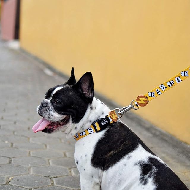Foto 3 de 3 de DASHI Snooze Leash Extra Small
