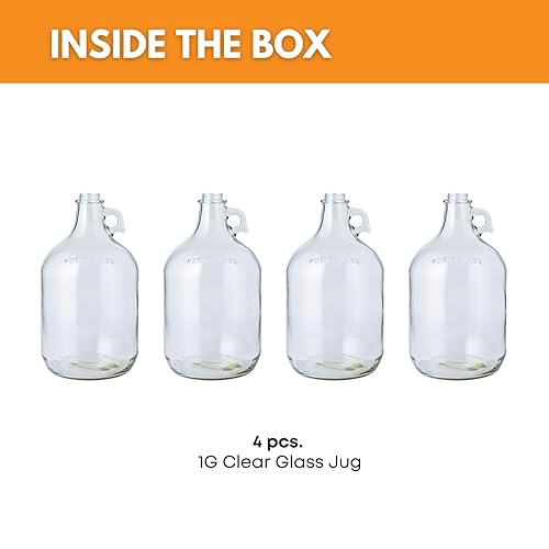 Miniatura 9 de Jarra de vidrio AGC con capacidad de 1 galón, Transparente, 1