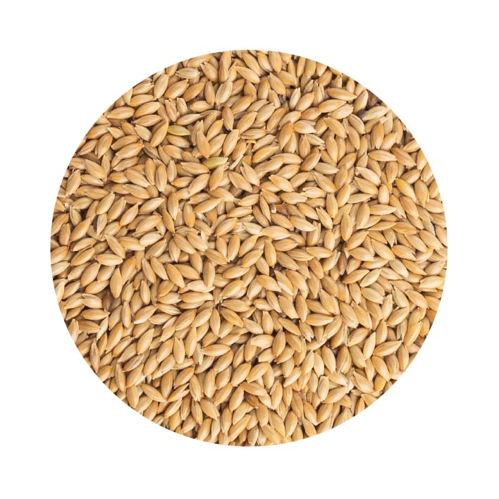 Alpiste Limpio cribado 4 kg PET CUP Semillas Naturales para Aves