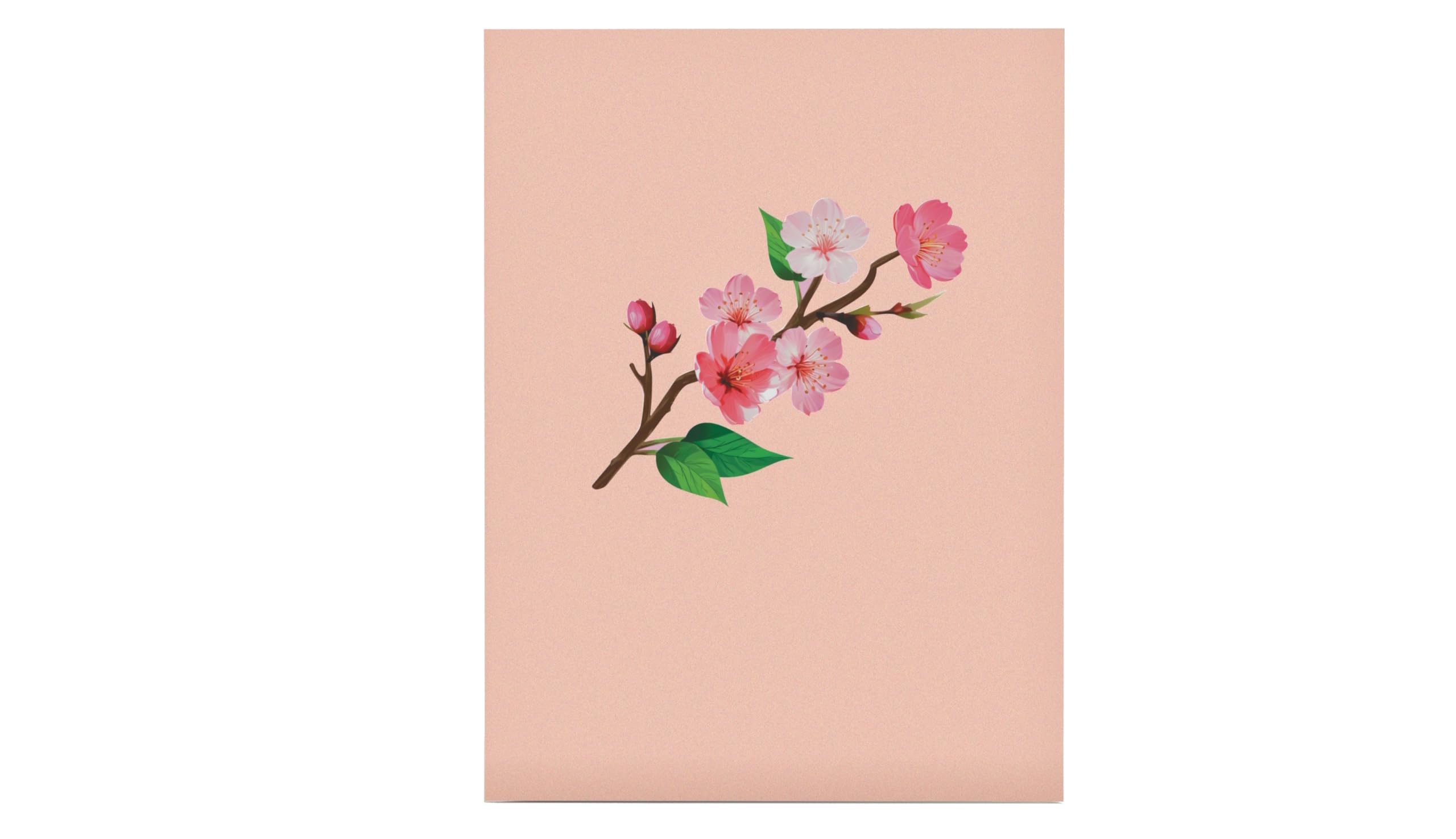 Biglietto Pop-Up 3D Ciliegio Giapponese - Auguri Compleanno O Festa Della Mamma, Con Busta, 20x15 Cm - Foto 9