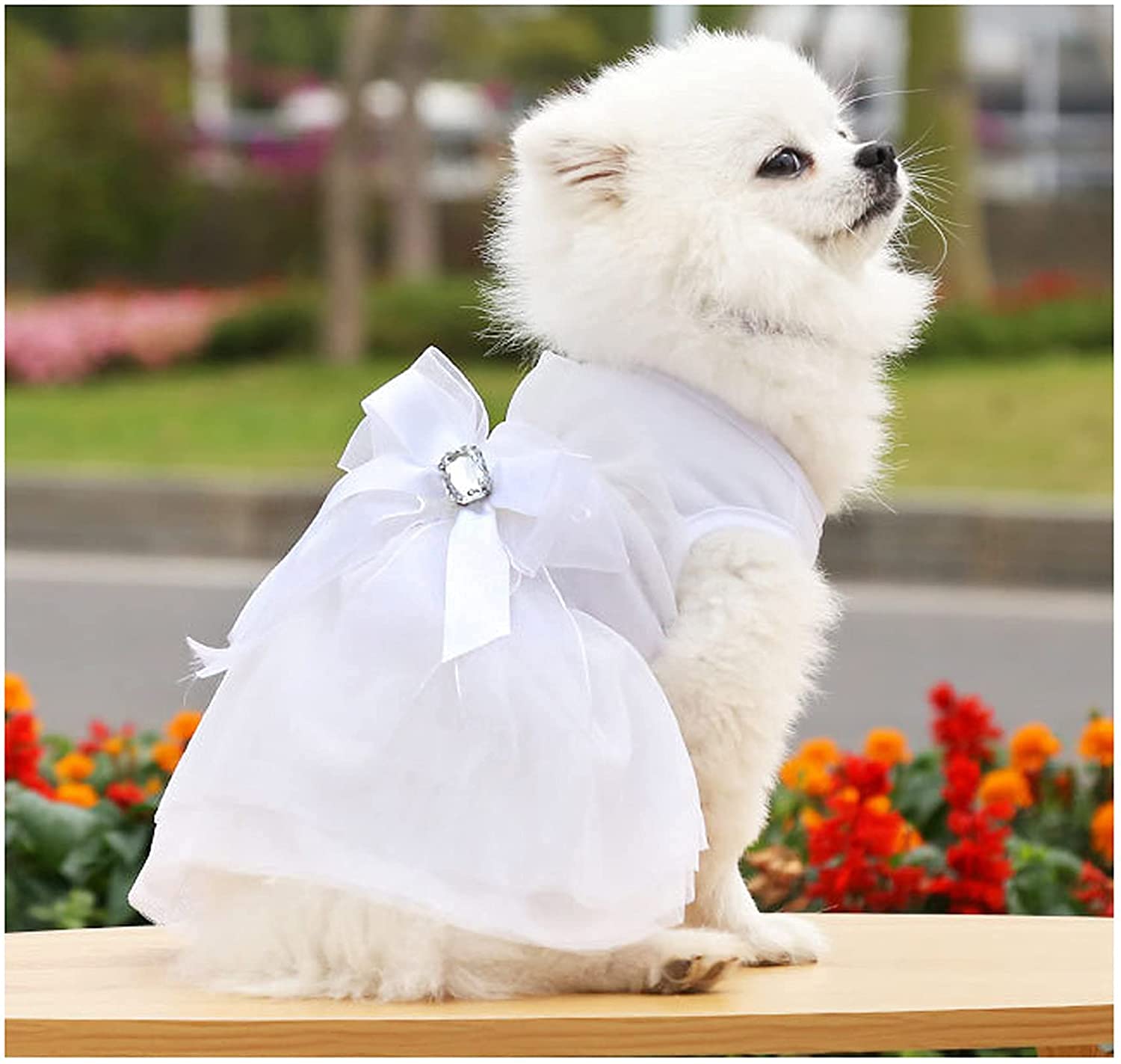 ✳️ ペット服 犬服 M ワンピース お姫様 かわいい スカート 洋服 ドレス Amazon | 可愛い ペット服 犬服 ワンピース 犬 ウエディングドレス