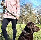 Leisegrün Hundeleine elastisch mit Ruckdämpfer 130–200 cm – Anti Zug Bungee Leine aus Nylon mit Kurzführer, für mittelgroße und große Hunde, Olivgrün