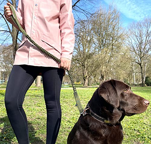 Leisegrün Hundeleine elastisch mit Ruckdämpfer 130–200 cm – Anti Zug Bungee Leine aus Nylon mit Kurzführer, für mittelgroße und große Hunde, Olivgrün