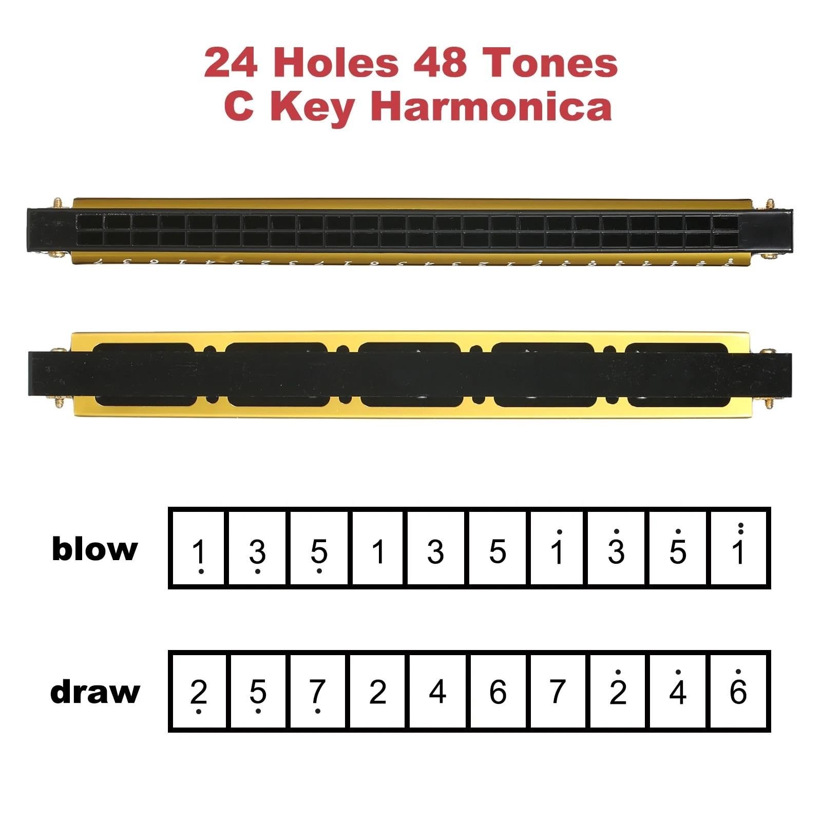 armonica a bocca professionale Armonica Arpa Professionale Armonica Chiave Di C 24 Fori Polifonia Armonica Diatonica Con Custodia Per Blues Folk Jazz Pop(Blue)