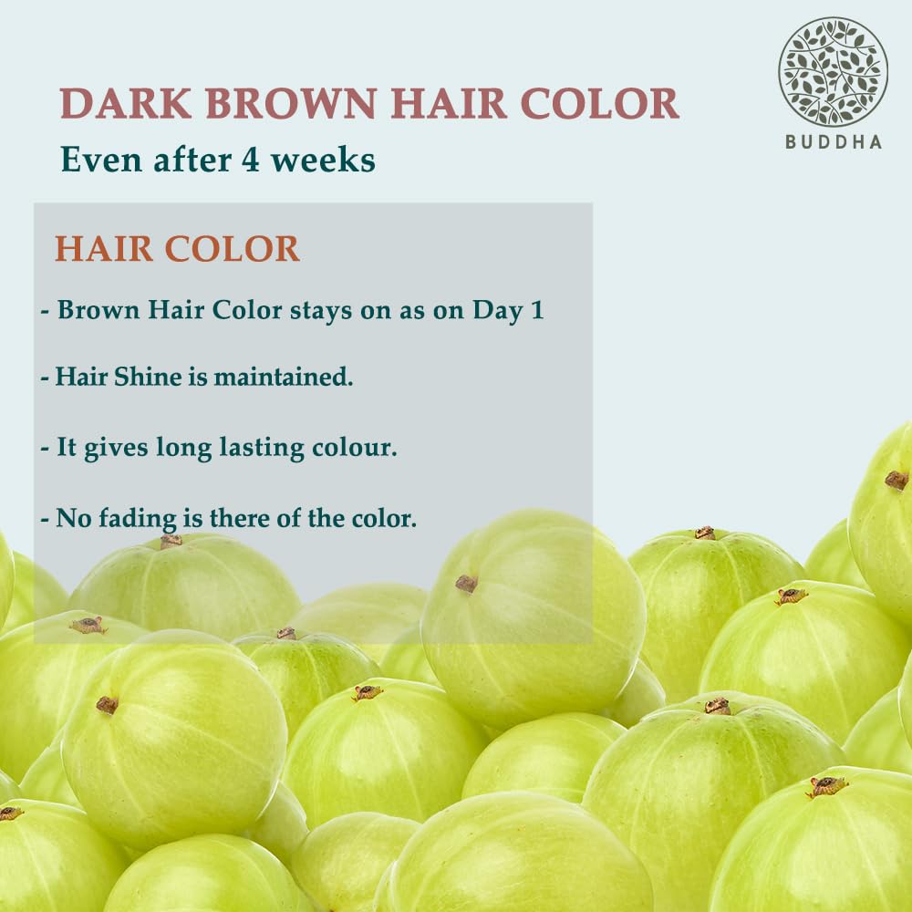 Buddha Natural Dark Brown Hair Color (50g)