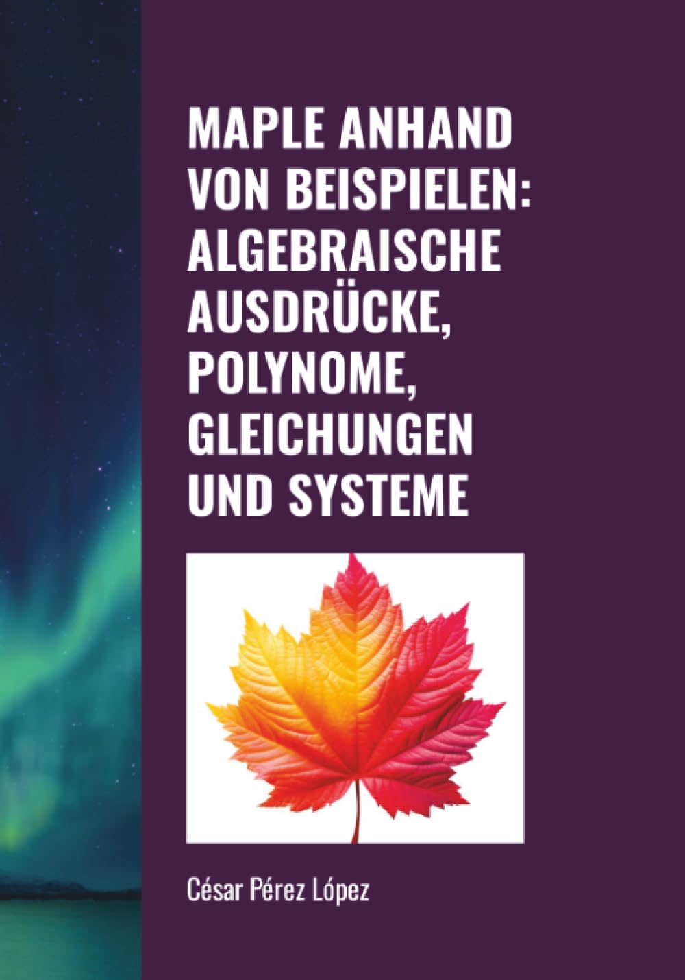 MAPLE ANHAND VON BEISPIELEN: ALGEBRAISCHE AUSDRÜCKE, POLYNOME, GLEICHUNGEN UND SYSTEME