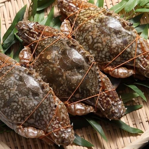 メス限定!極上のワタリガニ 匹200-300g 5kg (1kg約4-5匹)メス イタリアン 韓国料理 カンジャンケジャンにも人気 パスタ カレー わたりがに ワタリガニ 渡り蟹 蟹 カニ かに パスタ チゲ カニ飯 パエリア 冷凍 スリランカ産 加熱用