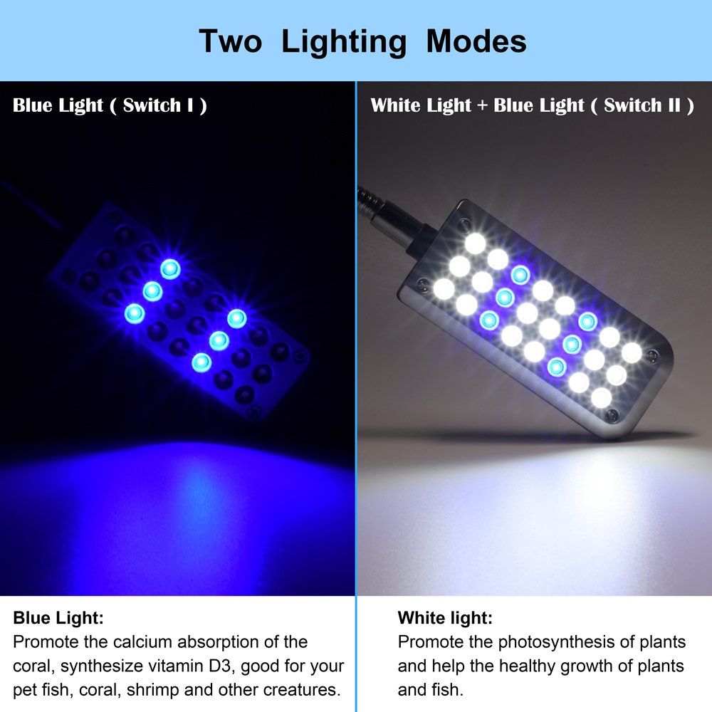 DaToo Aquarium lumière Petite Lampe Clip Light pour Fish Tank, 1 YR Garantie