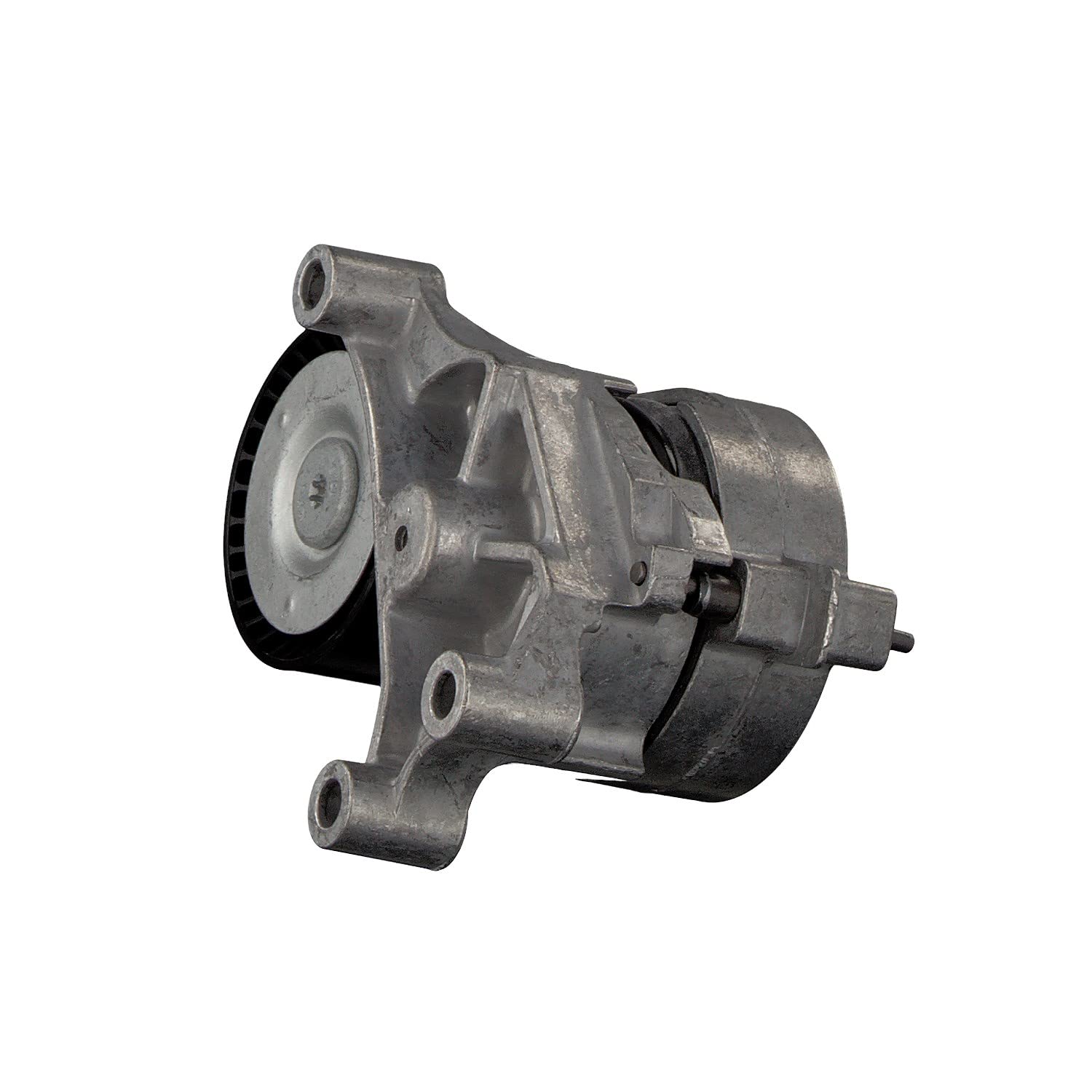 FEBI BILSTEIN Tendicinghia, Cinghia Poly-V 30166 Compatibile con: AUDI A3, A3 Sportback, TT, TT Roadster, SEAT ALTEA, ALTEA XL, LEON, TOLEDO III, SKODA OCTAVIA II, OCTAVIA II Combi, VW EOS, GOLF V