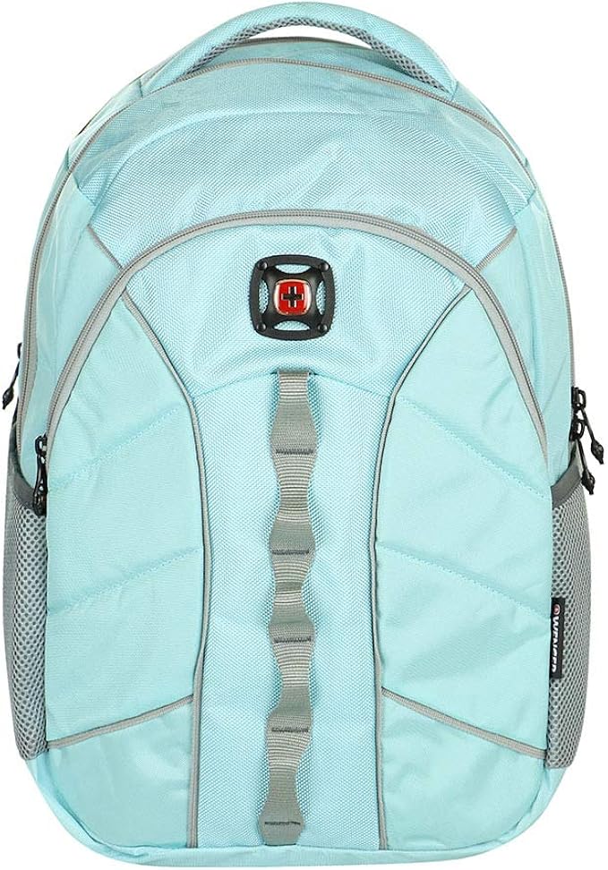samsonite dunewood executive plus backpack