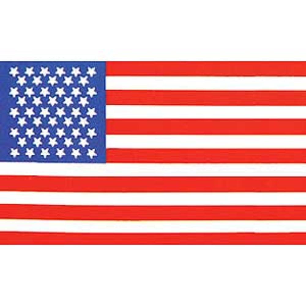 Amazon.com : 1960 Old Glory American Flag 3ft x 5ft : Outdoor