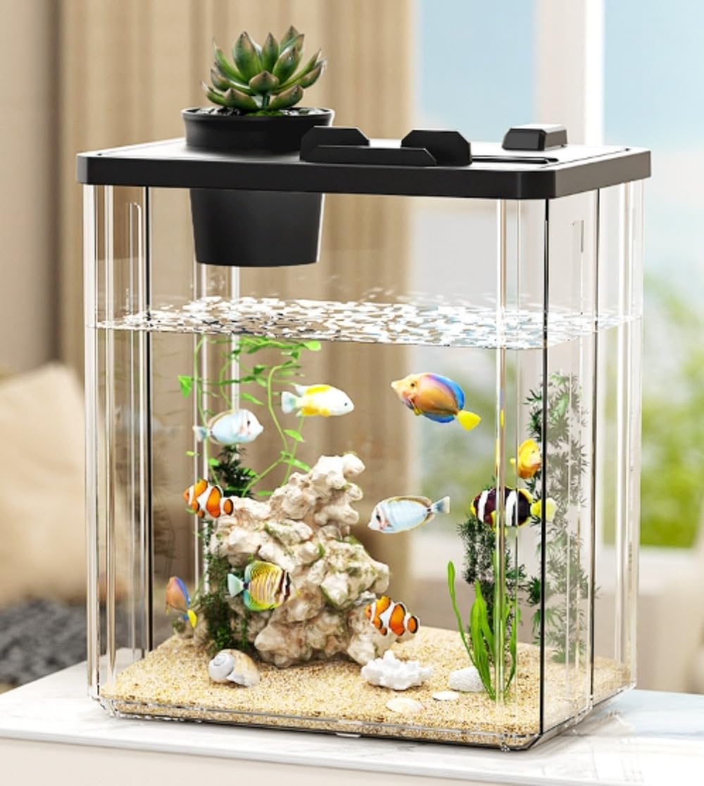 水培養ガラス吊り瓶微景観エコボトル鉄棚オフィス家庭用ヨーロッパ式天板小水槽 水培養ガラス吊り瓶微景観エコボトル鉄棚オフィス家庭用