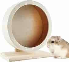 DOG Woof 大型木製回し車 k82ufv9u_main_0.jpg