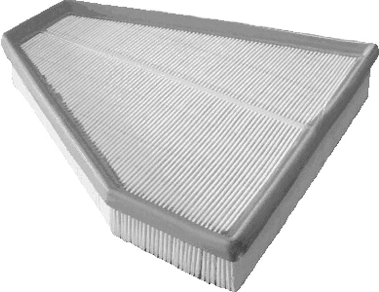 Amazon.com: ECOGARD XA6143 Premium Engine Air Filter Fits 2012-2015 BMW ...