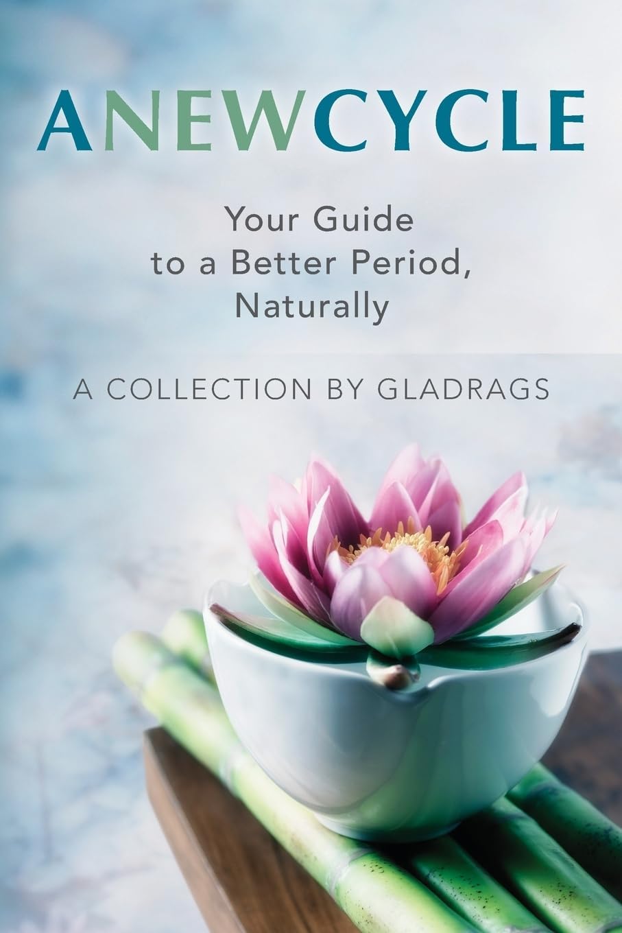 A New Cycle: Your Guide to a Better Period, Naturally Paperback – May 9, 2014