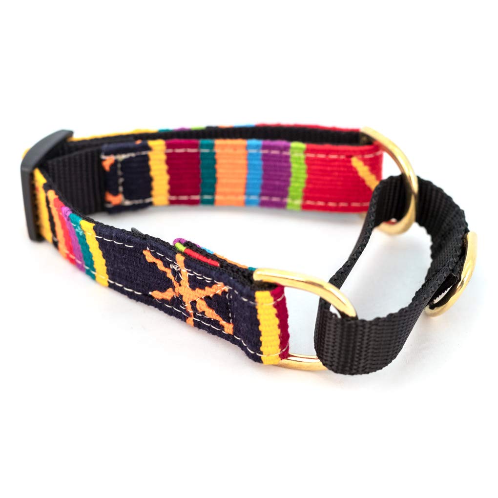A Tail We Could Wag Martingale Style Dog Collar - Sun Valley Holiday (Medium 14-20
