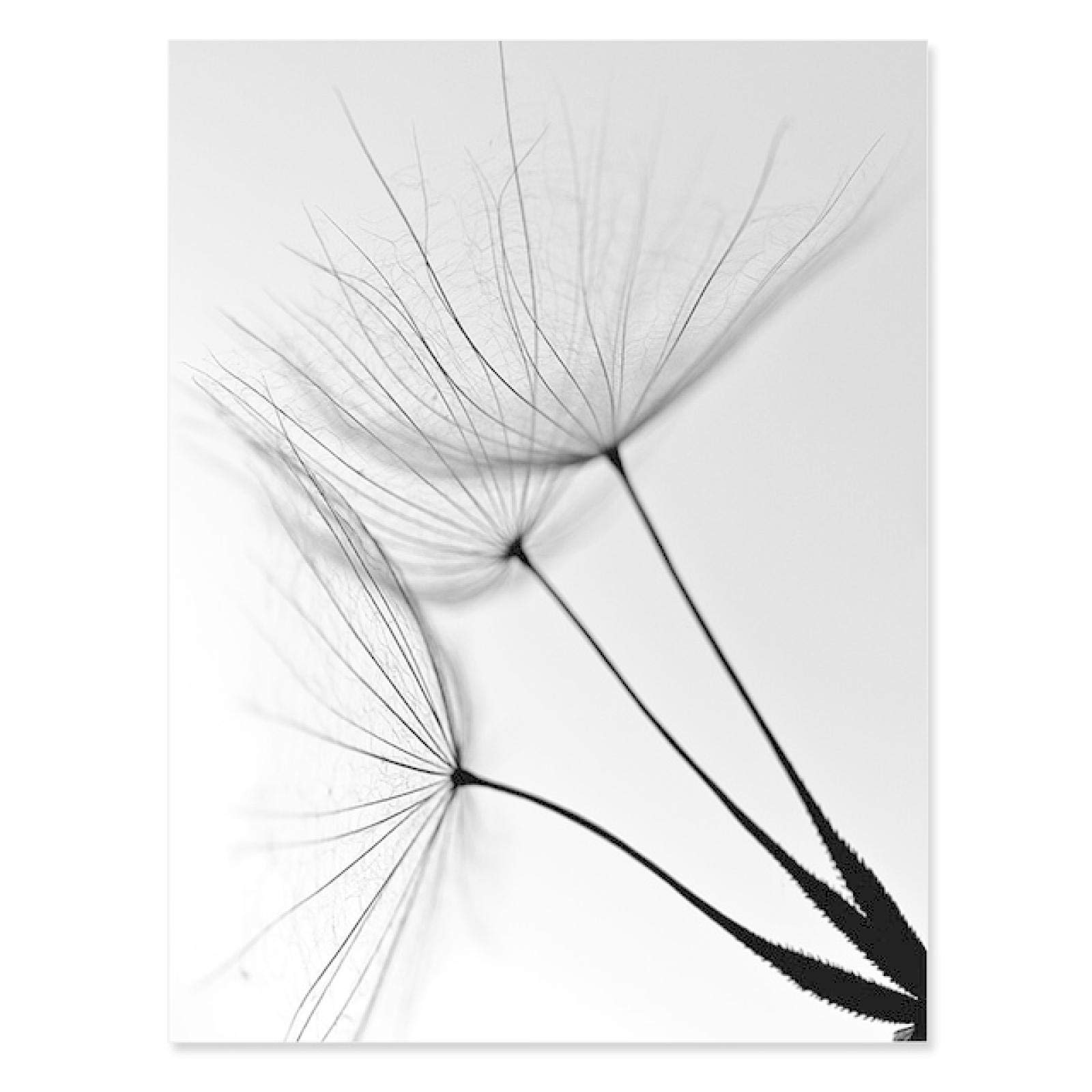 Soleil Arc-en-ciel Baiser Ligne Toile Tableau Murale Art Abstrait Murale Toile Tableau Peinture Nordique Affiches Et Tableaux Murales Pour Boho Chambre Decoration 40x60cmx3 Sans Cadre