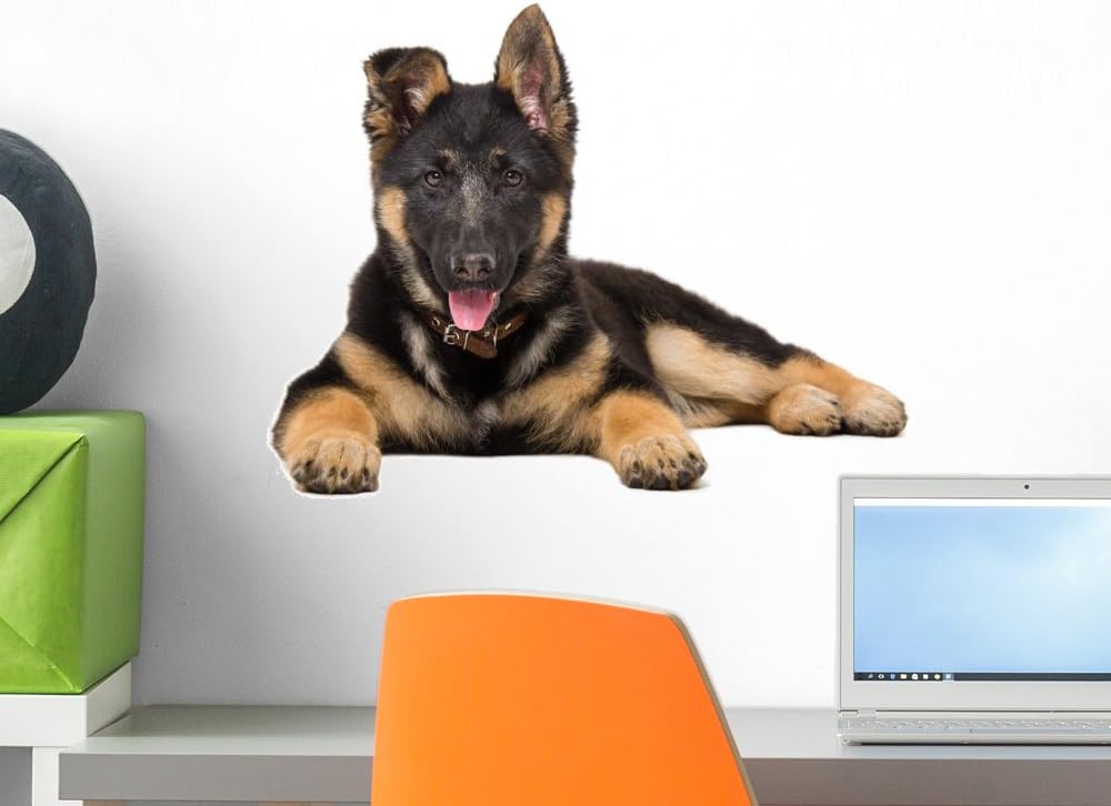 Wallmonkeys FOT-80306666-18 WM320012 Portrait of a German Shepherd Puppy Peel and Stick Wall Decals, 18" W x 12" H-Small