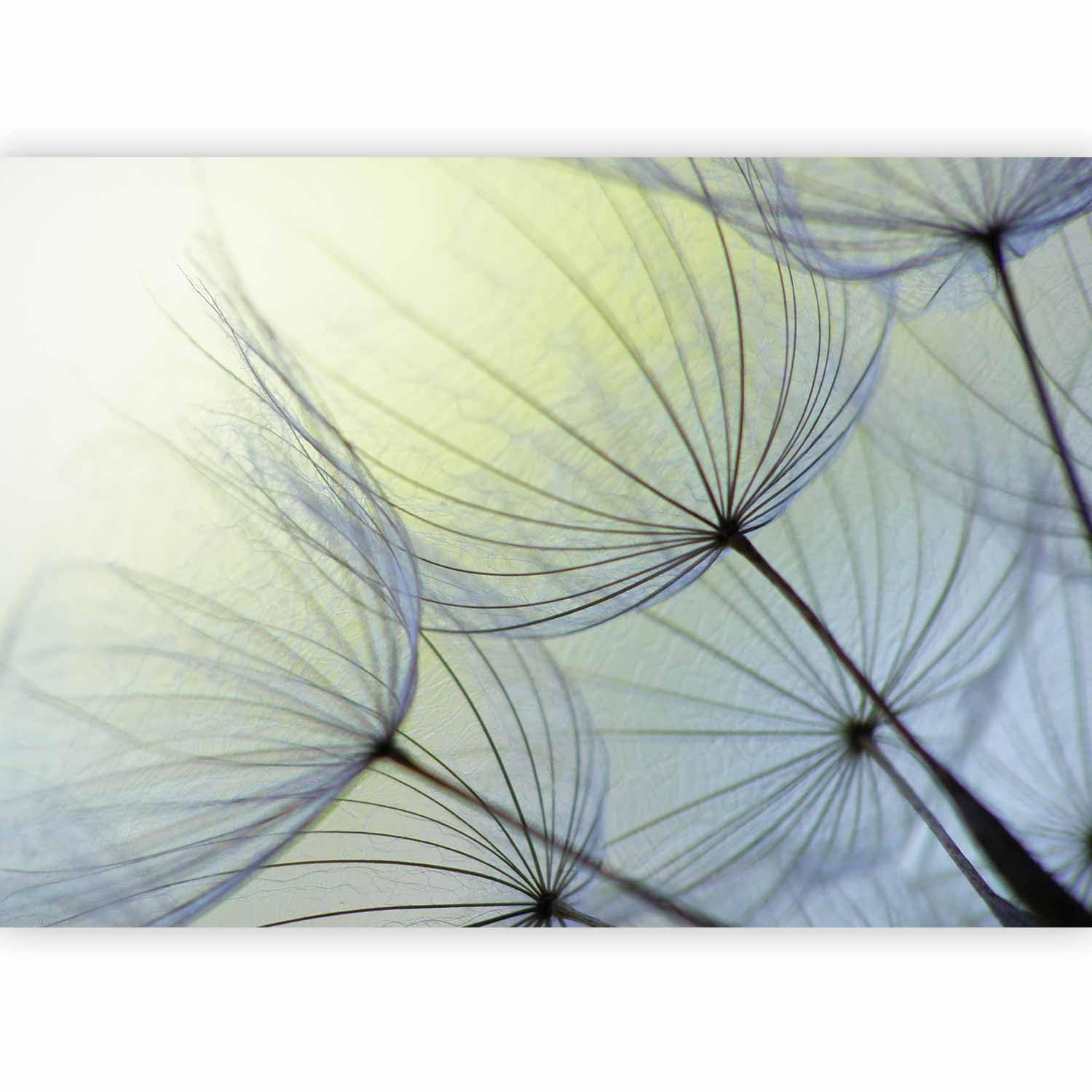 murando Photo Wallpaper Flowers 147x105 cm Peel and Stick โ image 1