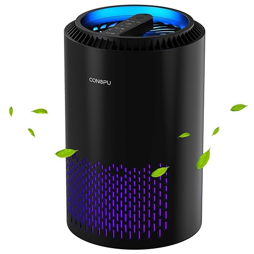 CONOPU Air Purifier for Home Bedroom with Hepa H13 99.97% Filter, Black, Air Cleaner portable for Allergies, Dust, Odors, Pet, Pollen, DH-JH01