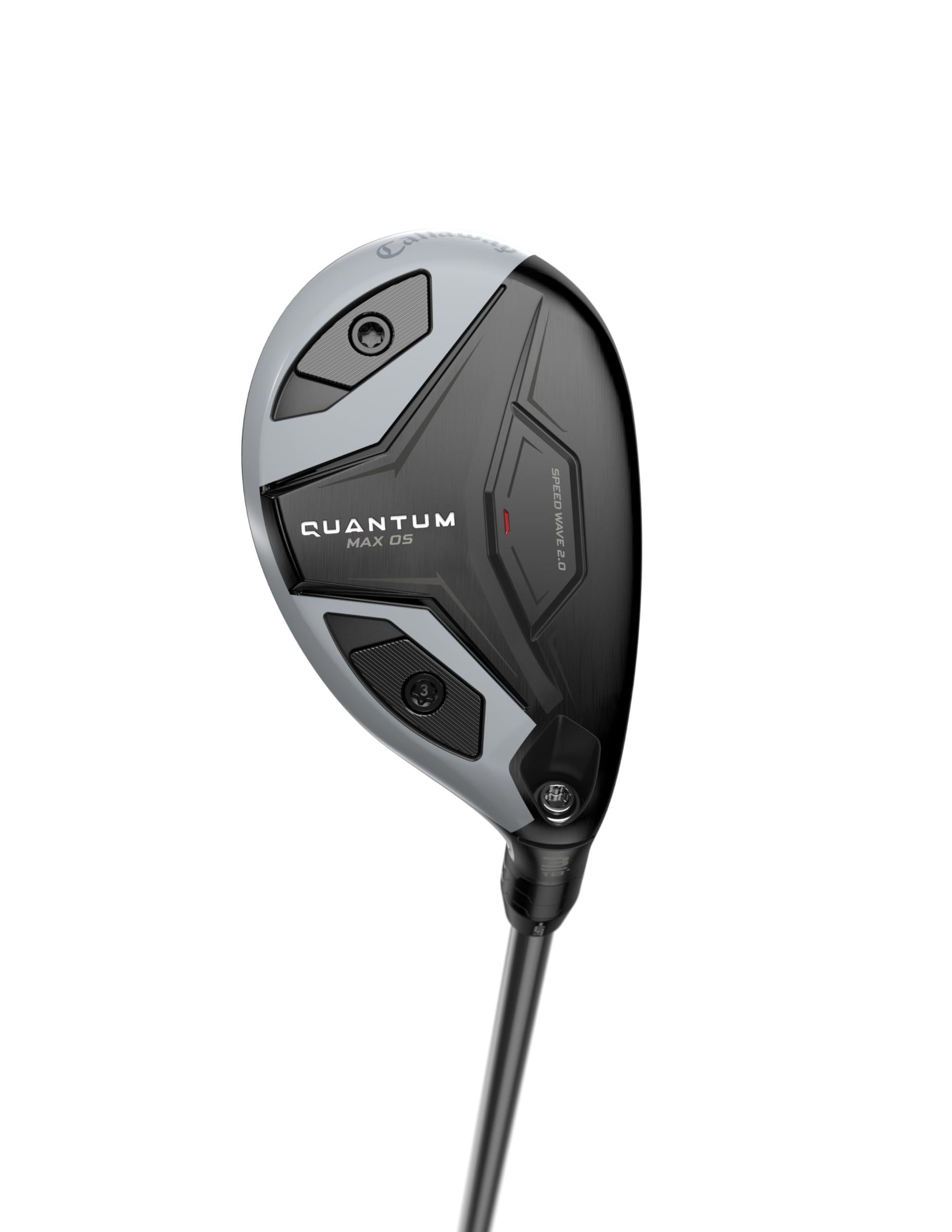 Amazon.com : WD LH QTM MAX OS 3H DEN SLV 60 GR REG : Sports & Outdoors