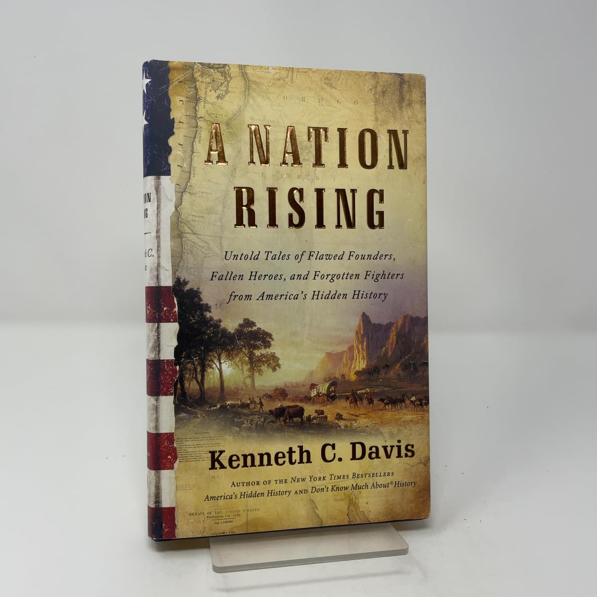 Buy A Nation Rising: Untold Tales of Flawed Founders, Fallen Heroes, and Forgotten Fighters from America's Hidden History — BookShops.in
