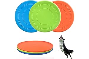 Freezebee: The Fido-Approved Flying Disc for Endless Doggy Delight