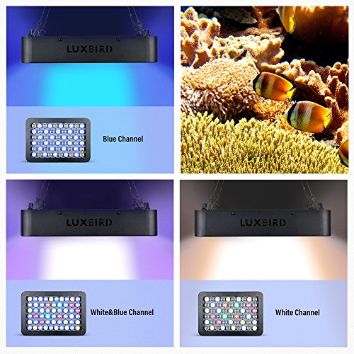 Luxbird Aquarium Light 168W LED Coral Light, LBA-168 Dimmable Reef Light,Full Spectrum LED Aquarium Light for Saltwater Reef Blue Aquarium Lighting Marine Corals Tank LPS & SPS 56 LEDs