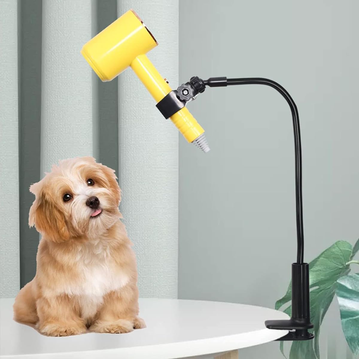 Supporto per asciugacapelli per Animali Domestici, Girevole a 360 Gradi, con Morsetto per la toelettatura degli Animali Domestici e Uso Personale, Adatto per Cani e Gatti