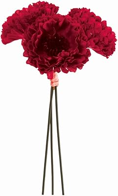 Amazon 東京堂 アーティフィシャルフラワー 造花 ナナヘリクリサムピック レッド 花径6 長さ 約17cm Fm 003 1束 3本 造花 オンライン通販