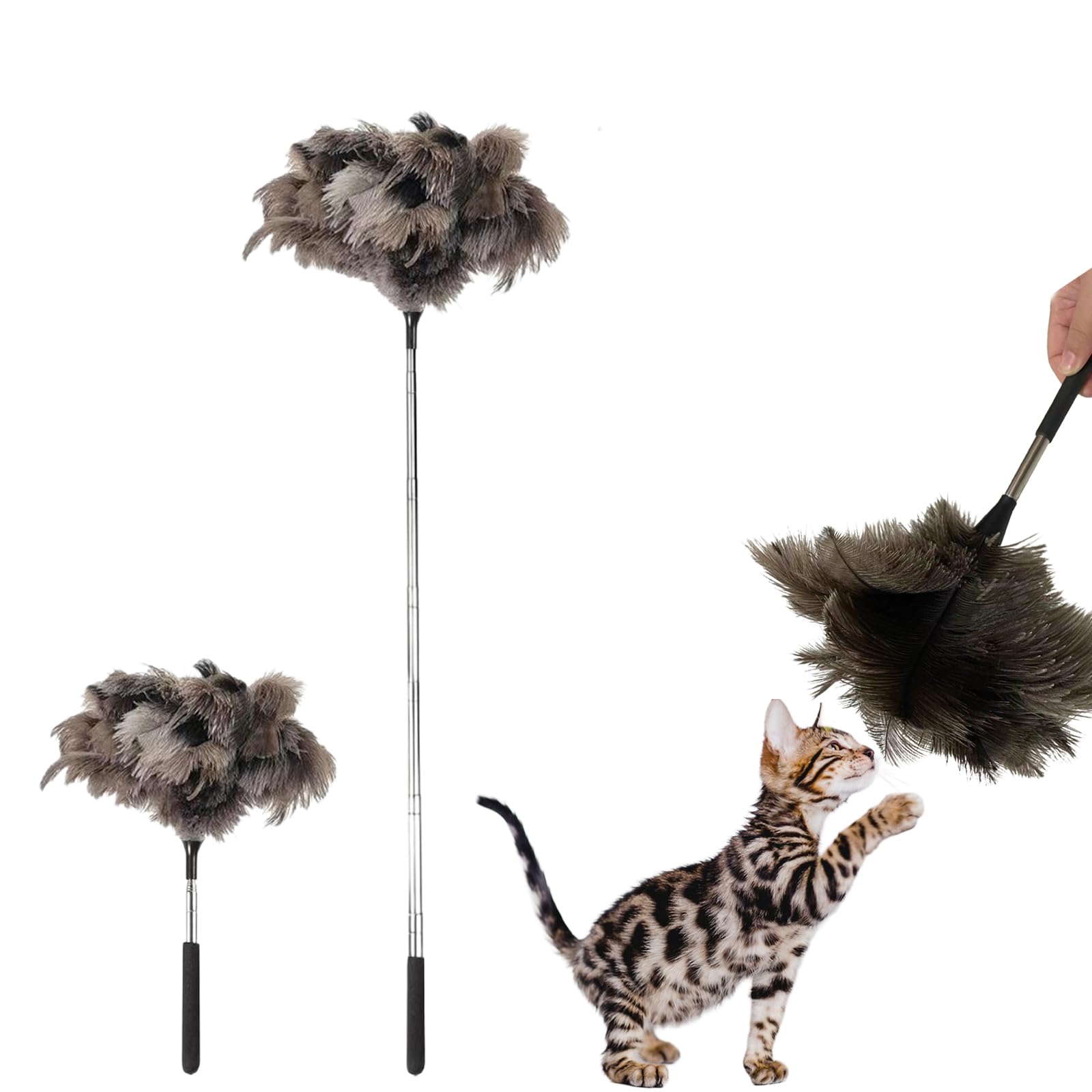 hongwei1952 Natural Ostrich Feather Cat Teaser, 30in Total Length, Stainless Steel Telescopic Rod
