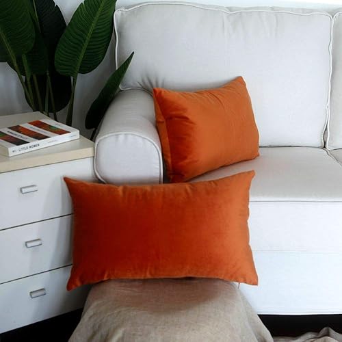 Miniatura 3 de Artcest - Juego de 2 fundas de terciopelo para cojines decorativos, fundas para cojines decorativos sólidos para sofá y cama