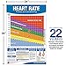 Fitness Heart Rate Chart/Poster: Fitness Heart Rate Poster, Training Zone Chart, Workout Zone, Maximum Heart Rate Poster, Training by Heart Rate Poster