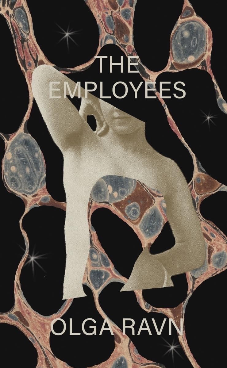 Buy Employees - A workplace novel of the 22nd century: What Asexuality Reveals About Desire, Society, and the Meaning of Sex — BookShops.in