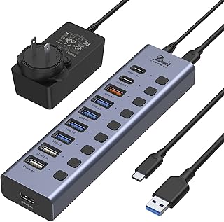 Powered USB 3.1 Hub, LIONWEI 10 Port USB Splitter 10Gbps USB 3.1 Ports with 60W (12V/5A) Power Adapter, Type A and Type C Cables, Individual ON/Off Switches, USB Hub Splitter for PC and Laptop