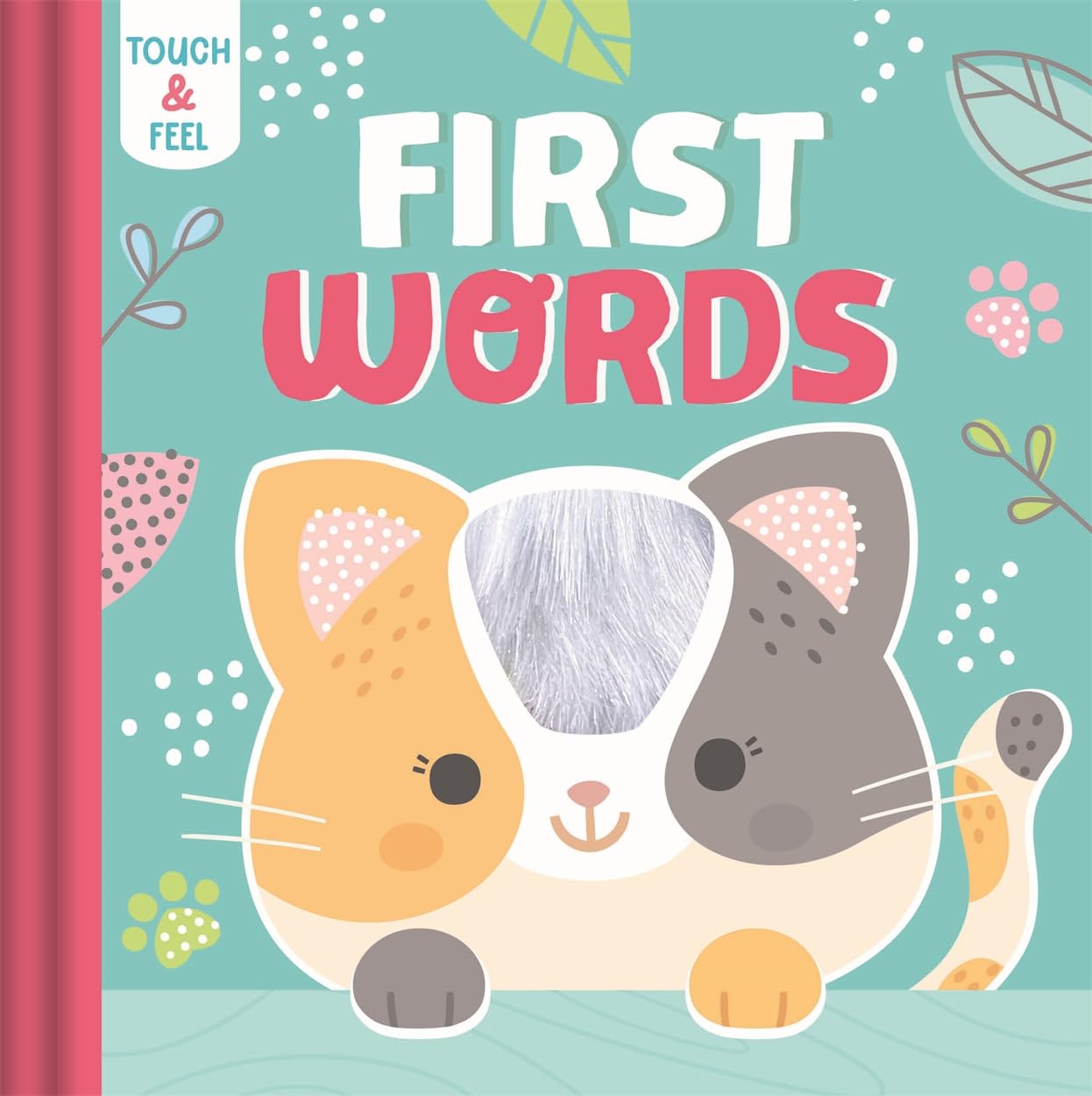 First Words (Illustrated Touch and Feel)