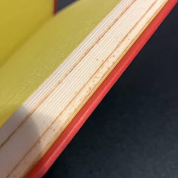 Amazon.co.jp: 22-9-27 復刻版『 宮沢賢治 風の又三郎 』羽田