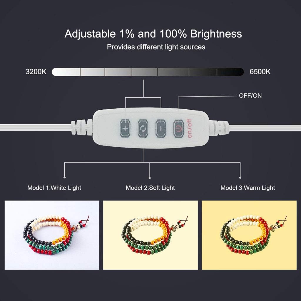 Photo Studio Light Box 202020cm Mini Portable Lighting Soft Tents with USB Fill Light Ring 6 Colors Background Home Jewellery Food Shoes Still Life Shooting