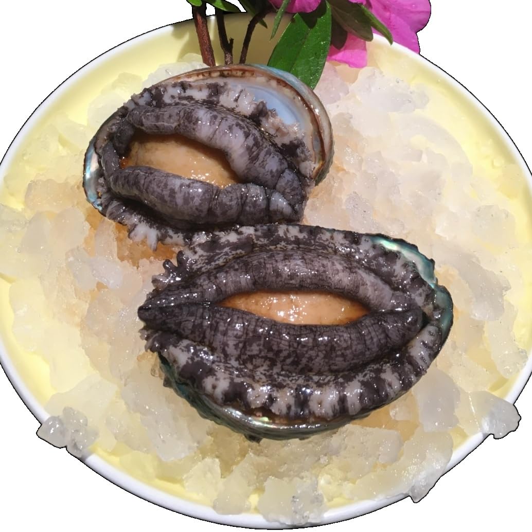 Amazon.co.jp: 北海道産 冷凍 蝦夷アワビ (2kg) 約16～30玉前後 刺身用