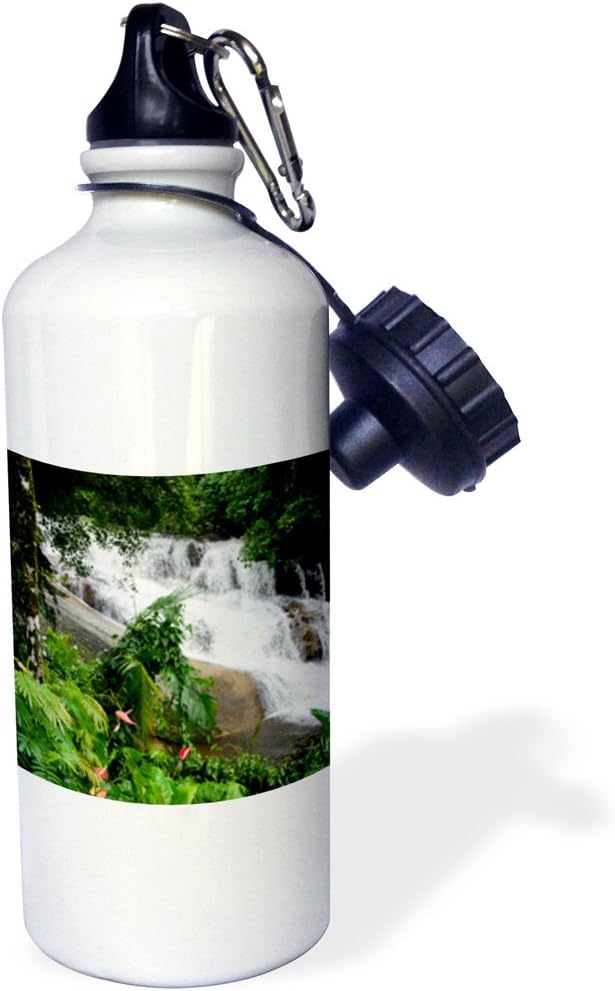 3dRose Brazil, Paraty. Serra da Bocaina NP. Rainforest waterfall. -Sports Water Bottle, 21oz , Multicolored