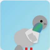 Pigeons Wallpapers